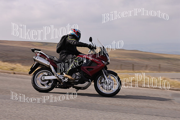 Dave 3N3A2350 (103)