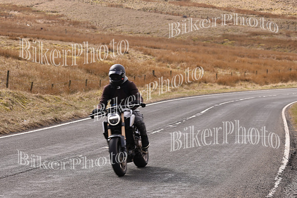 Dave 3N3A2350 (34)