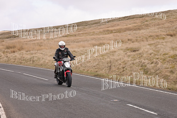 Dave 3N3A2350 (62)