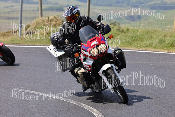 Dave (71)