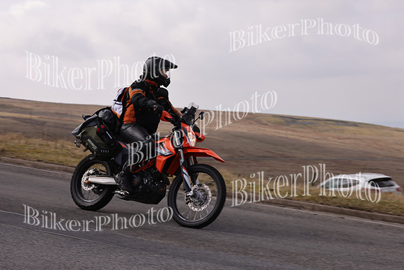 Dave 3N3A2350 (112)