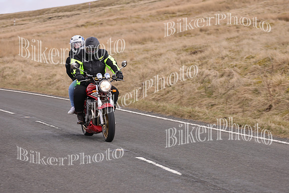 Dave 3N3A2350 (78)