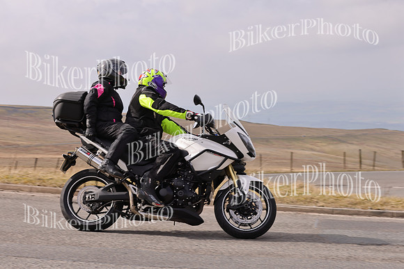 Dave 3N3A2350 (145)