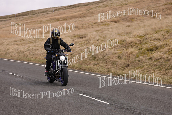 Dave 3N3A2350 (54)