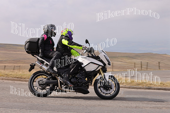 Dave 3N3A2350 (146)