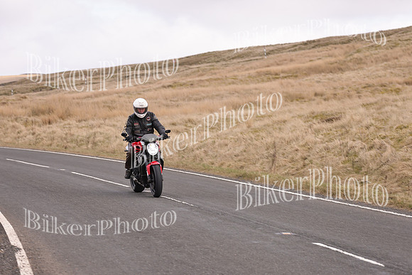 Dave 3N3A2350 (61)
