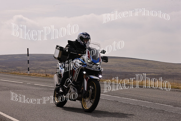 Dave 3N3A2350 (713)