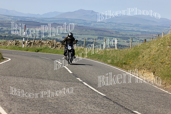 Steve (813)