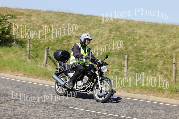 Steve (1048)