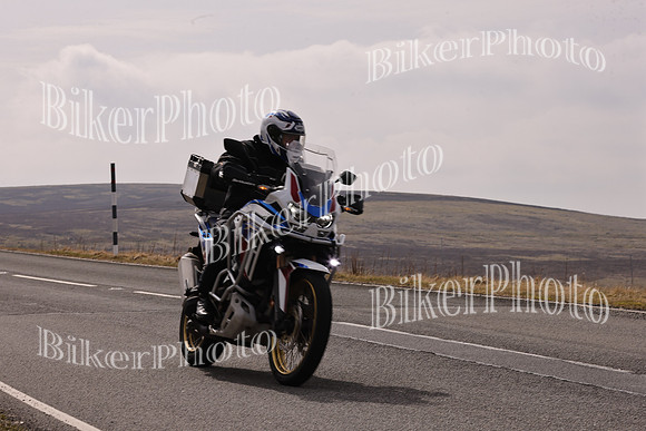 Dave 3N3A2350 (712)