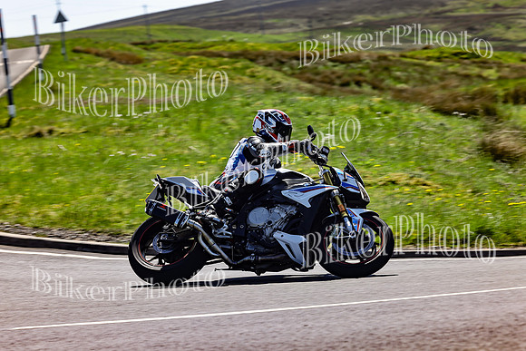 Daves (66)