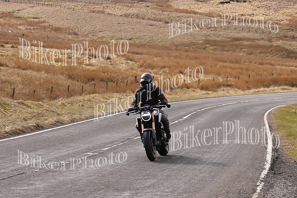 Dave 3N3A2350 (30)