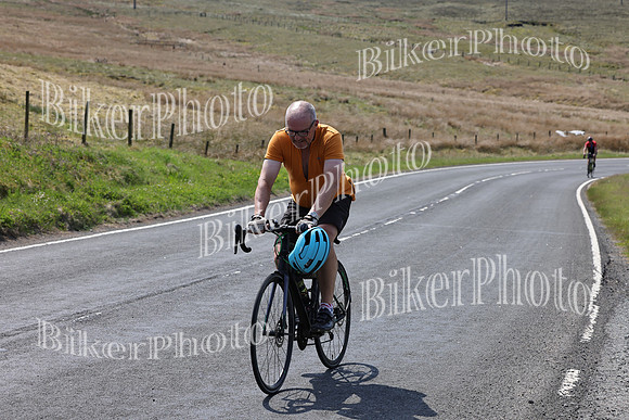 Dave (60)
