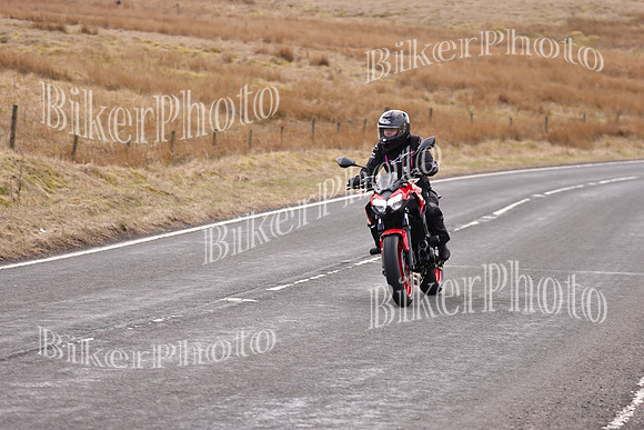 Dave 3N3A2350 (8)