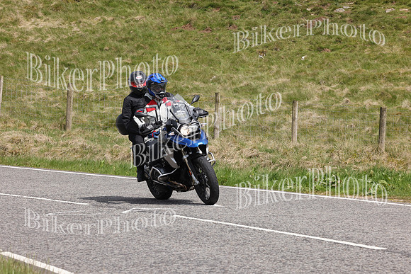 069A3556