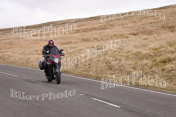 Dave 3N3A2350 (65)