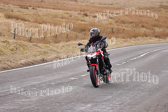 Dave 3N3A2350 (11)