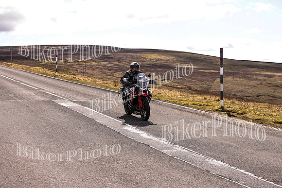 Dave (71)