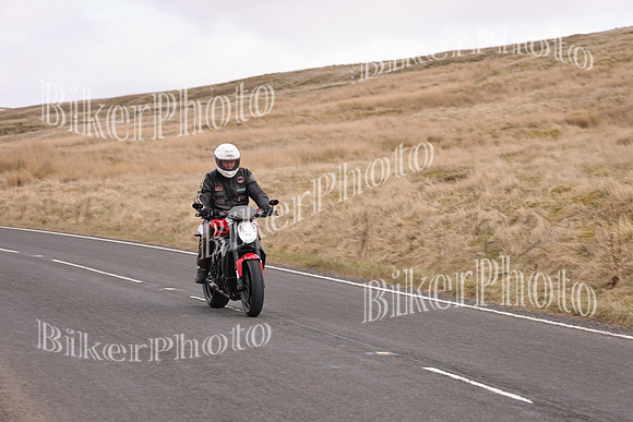 Dave 3N3A2350 (63)