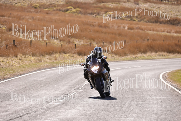 Dave (124)