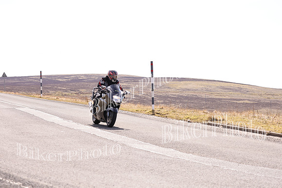 Dave (387)