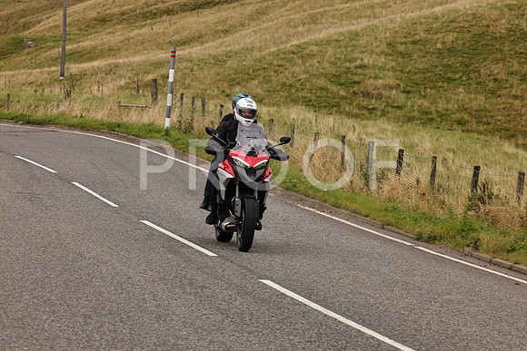 Steve - 3N3A9999 (5020)