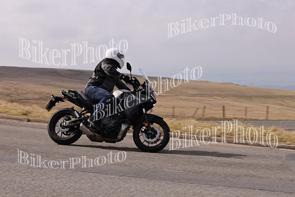 Dave 3N3A2350 (160)
