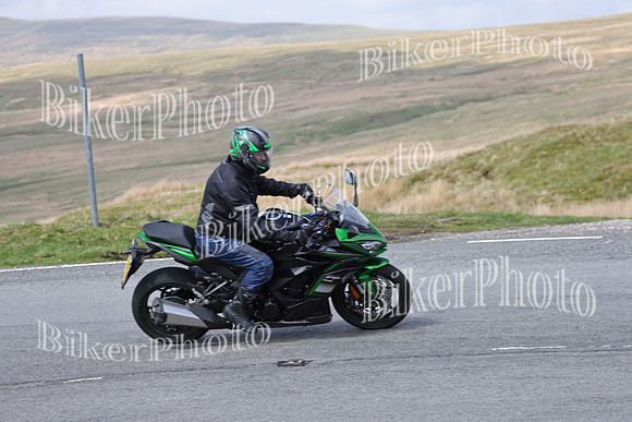 Dave (75)