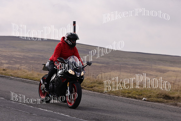 Dave 3N3A2350 (97)