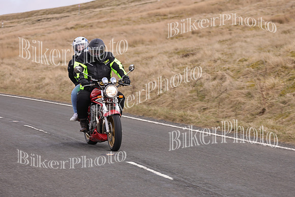 Dave 3N3A2350 (79)