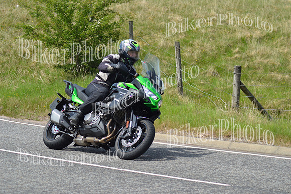 Andy (145)