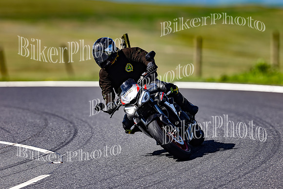 Daves (47)