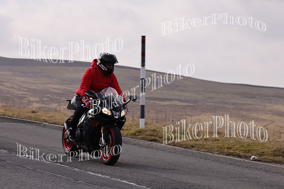 Dave 3N3A2350 (95)