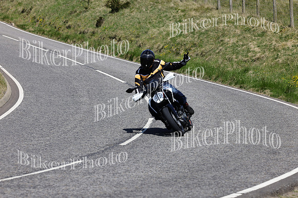 Steve (4546)