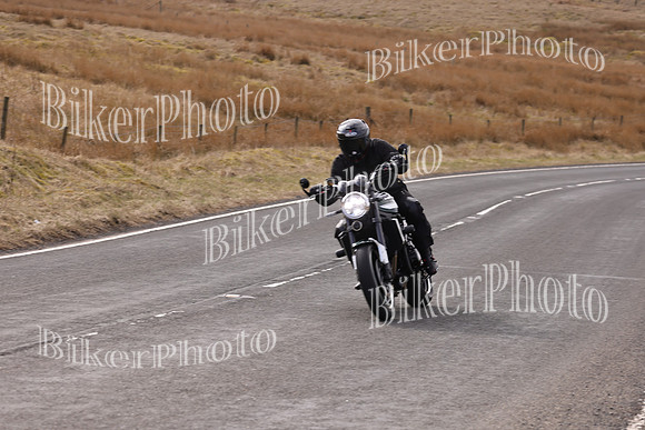 Dave 3N3A2350 (6)