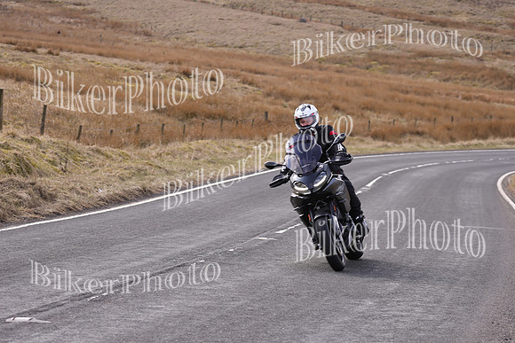Dave 3N3A2350 (3)