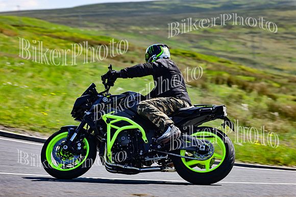 Daves (49)