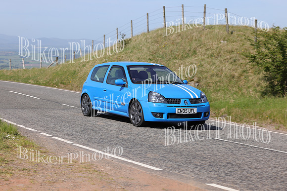 Steve (2399)