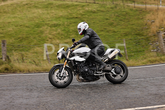 Steve - 3N3A9999 (986)