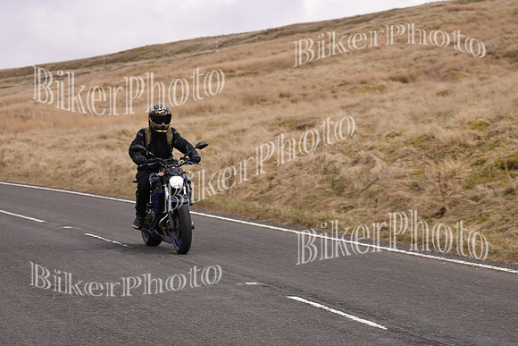 Dave 3N3A2350 (51)