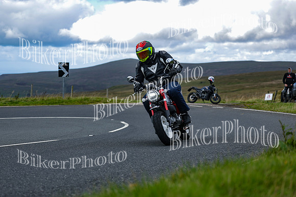 Jonny 5 (770)