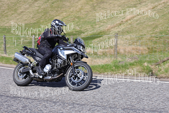 Dave (745)
