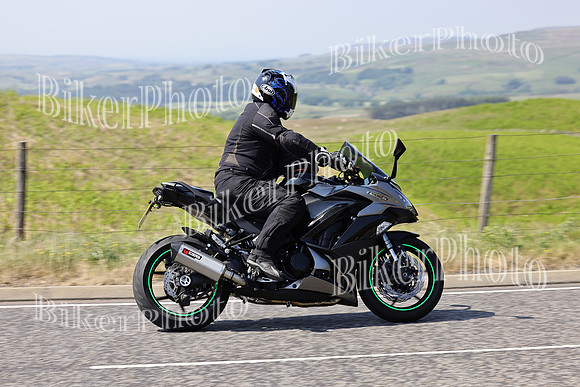 steve (2489)