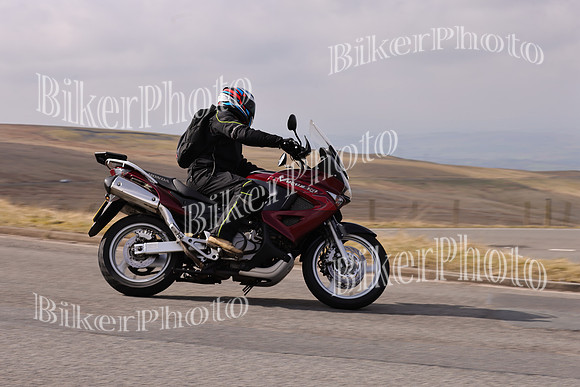 Dave 3N3A2350 (104)