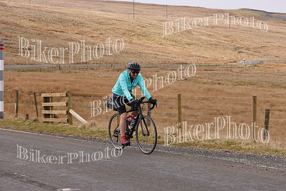 Dave 3N3A1705 (20)