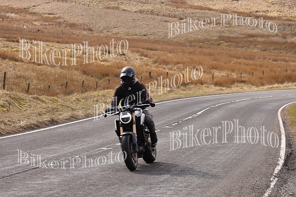 Dave 3N3A2350 (33)