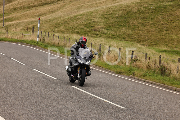 Steve - 3N3A9999 (4989)