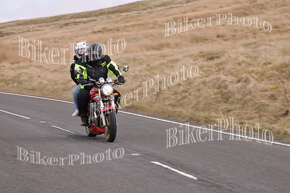 Dave 3N3A2350 (77)