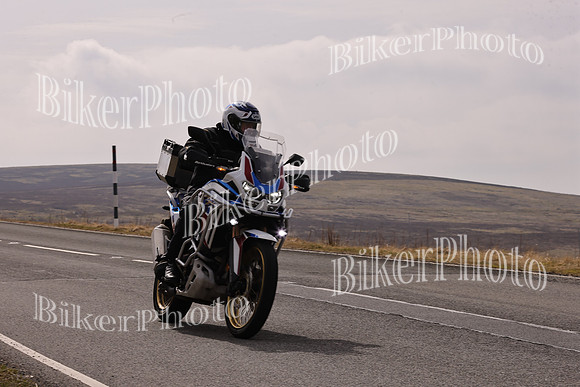 Dave 3N3A2350 (711)