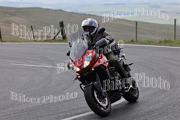 Dave (303)